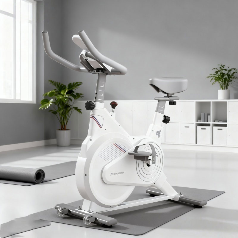 İç Mekan Sabit Spin Bisikleti, - Home Gym Necessities incelemesi ve fiyatı